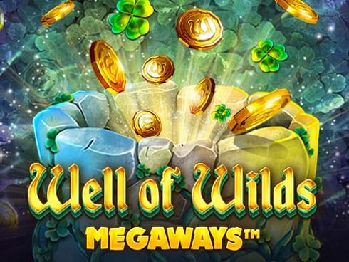 Well of Wilds Megaways game thumbnail