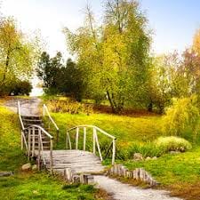 عالیہ ریاض avatar